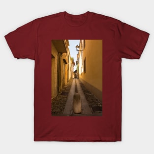 Street in Cividale del Friuli, Italy T-Shirt